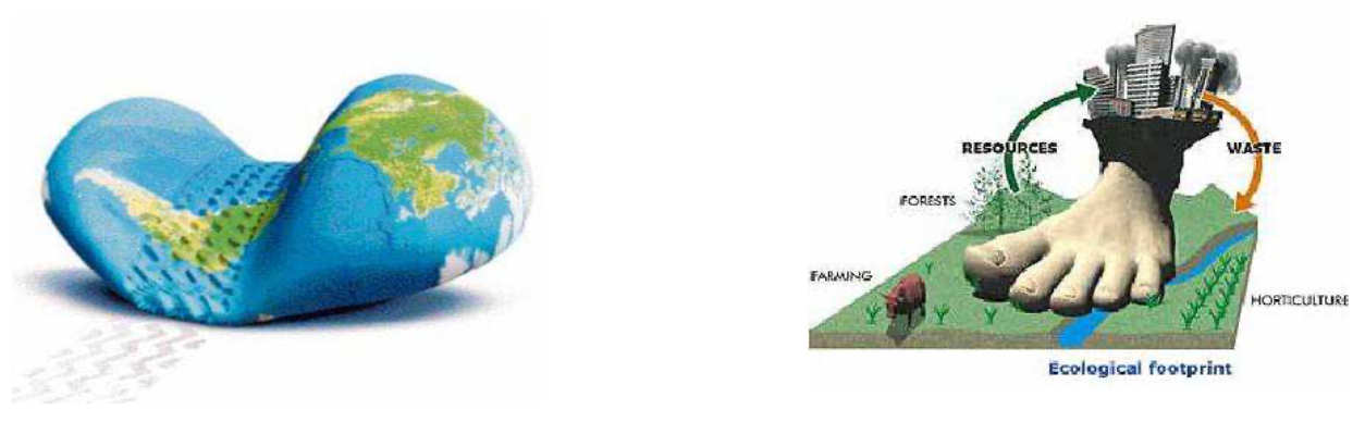 Domaine environnemental